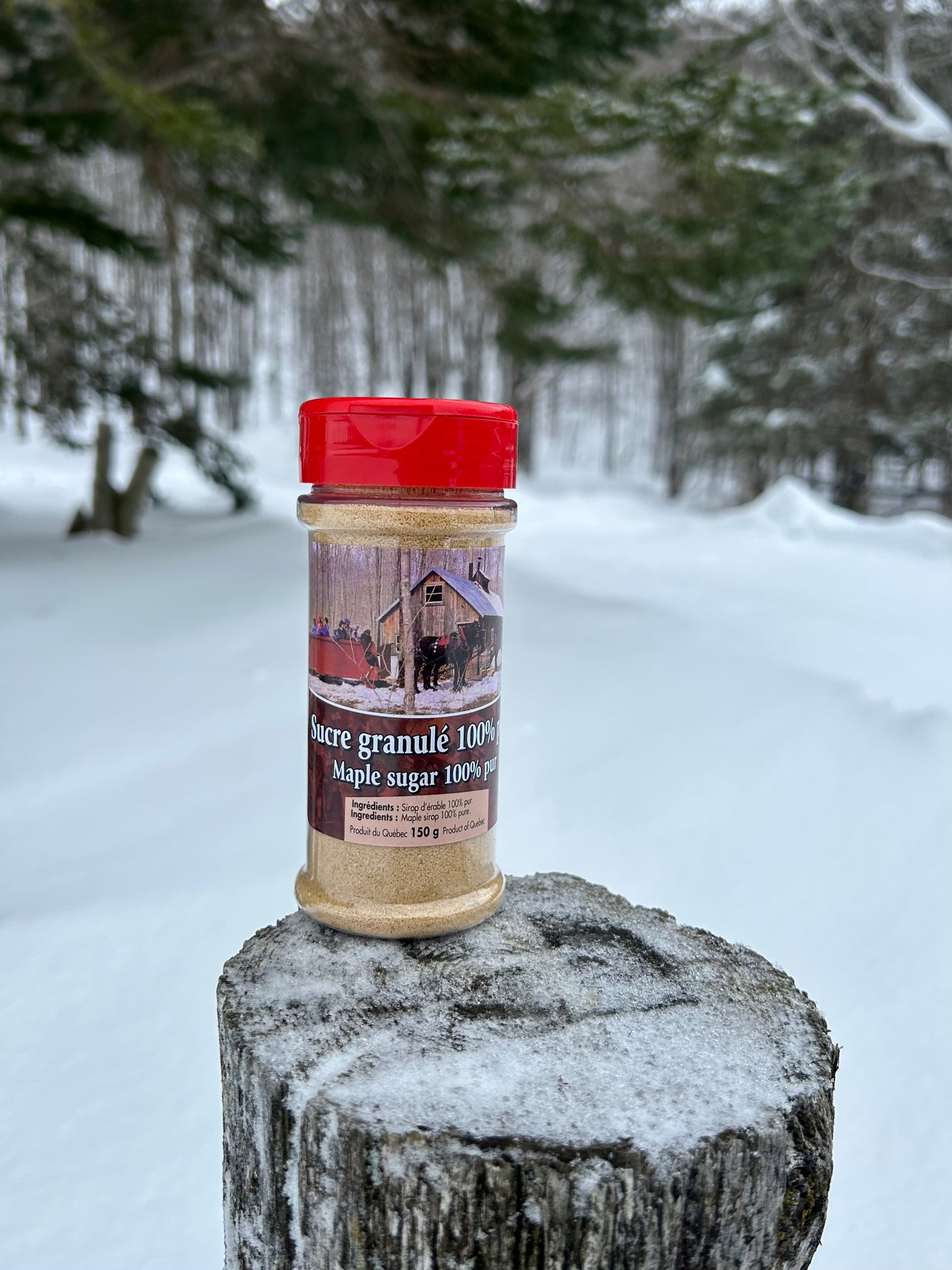 Sucre granulé d'érable