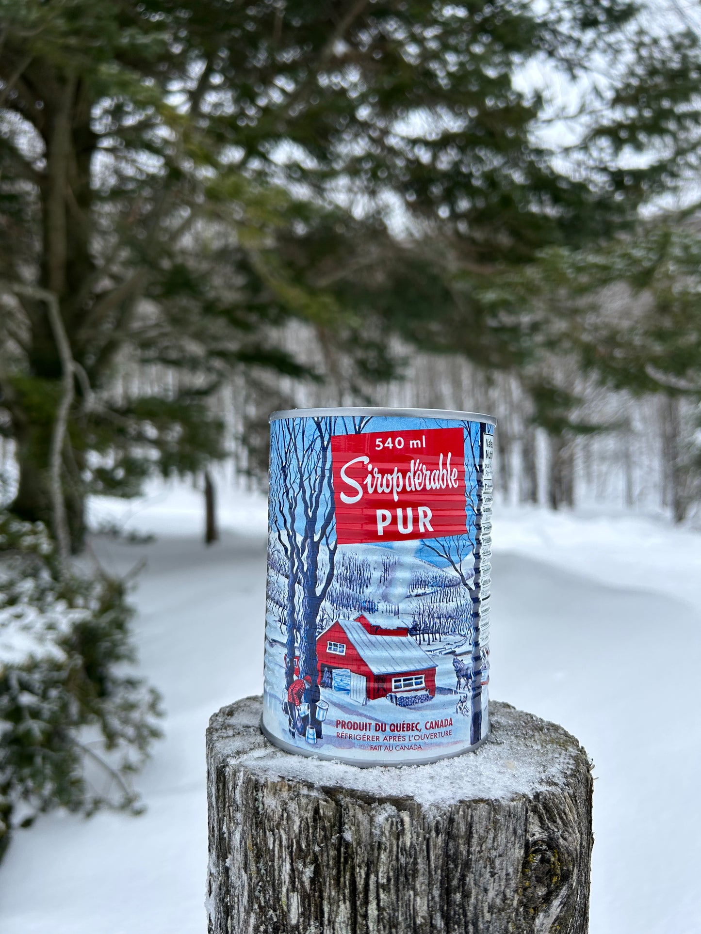 Canne de sirop d'érable